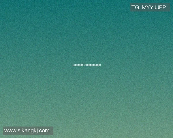 西班牙篮球明星33的辉煌历程与成就分析